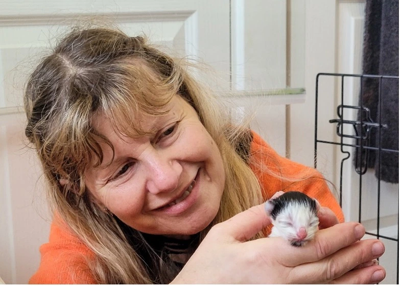 Karen holding a tiny newborn kitten